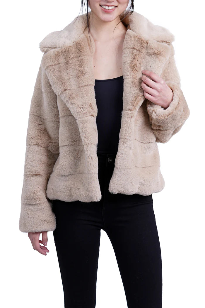 Miliya Jacket Chenille Jacket Brocade Jacket Lace Jacket